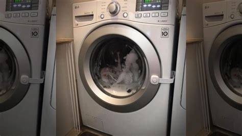 stuck in washer porn|'stuck in washer' Search .